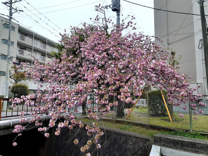 松尾武志行政事務所