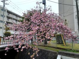 松尾武志行政事務所