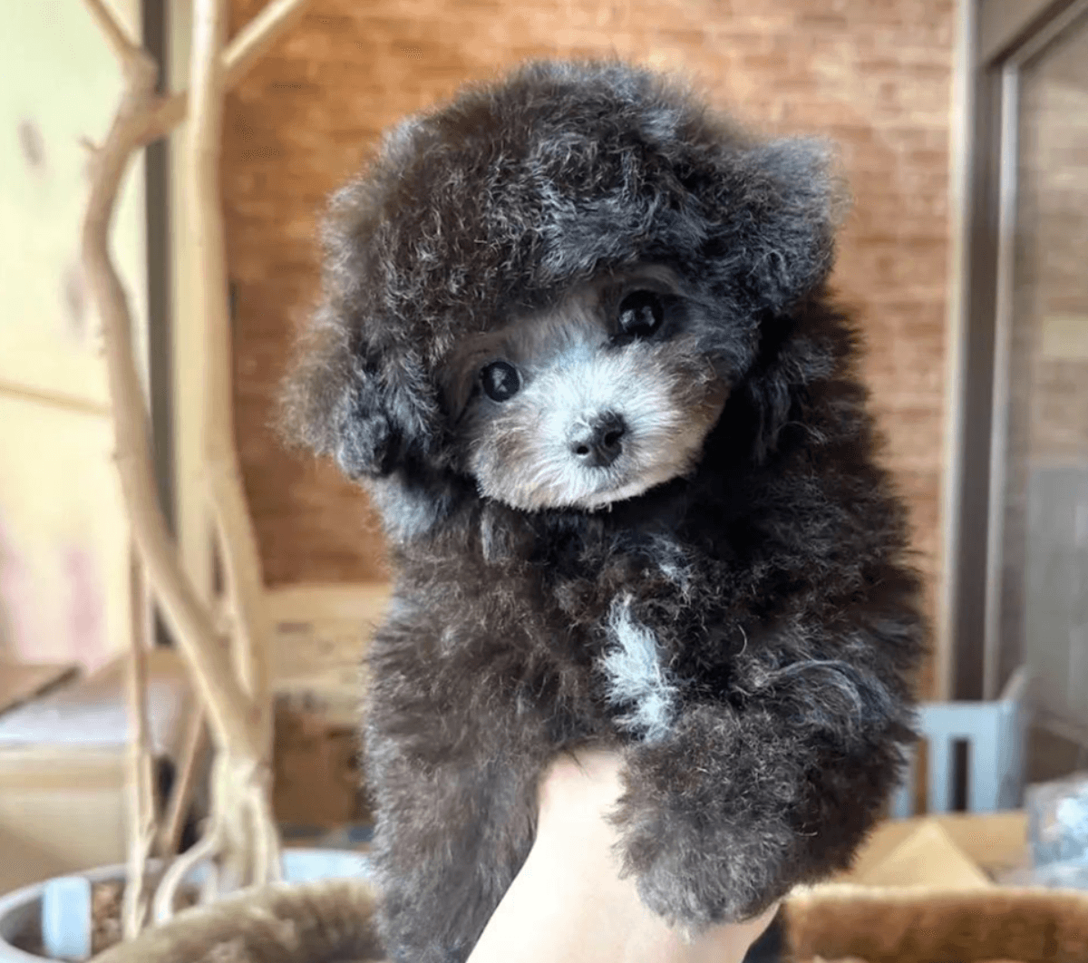 株式会社　anilife