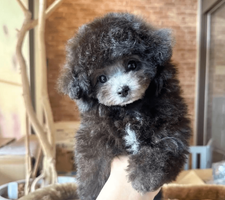 株式会社 anilife