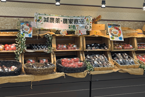 株式会社彩色ファーム