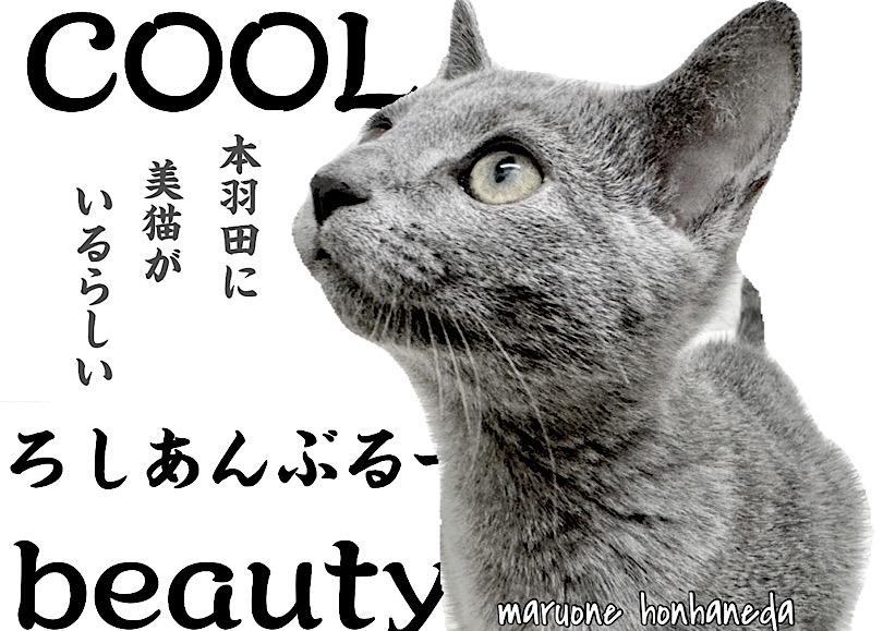 画像0