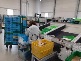 Life SS株式会社グループ