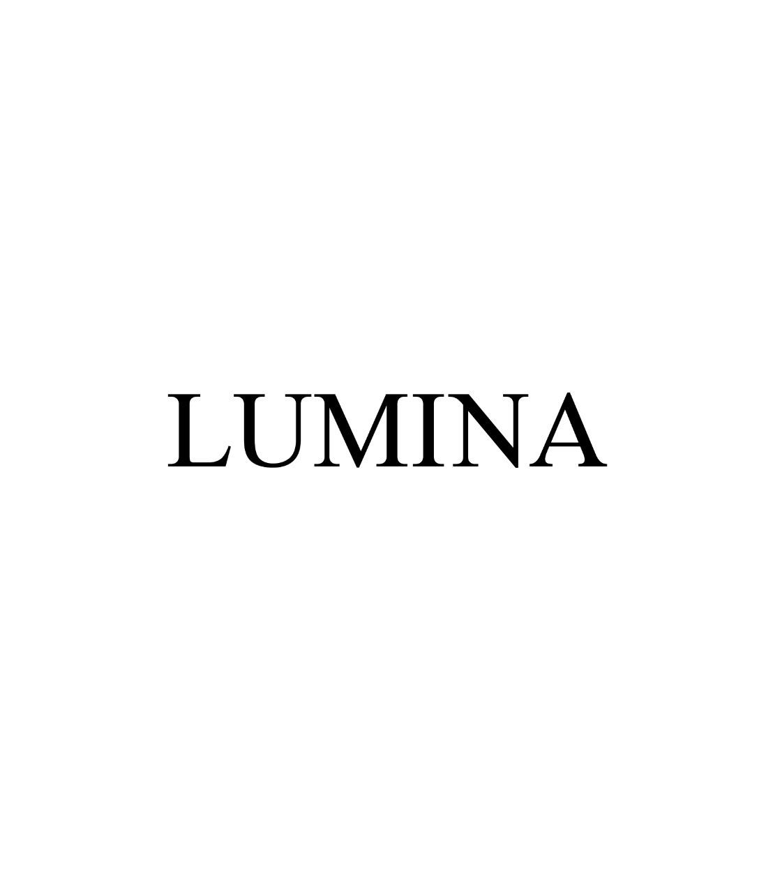 ヘアセットサロンLUMINA　（SG株式会社）