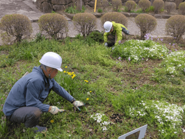 株式会社サーブ