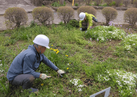 株式会社サーブ
