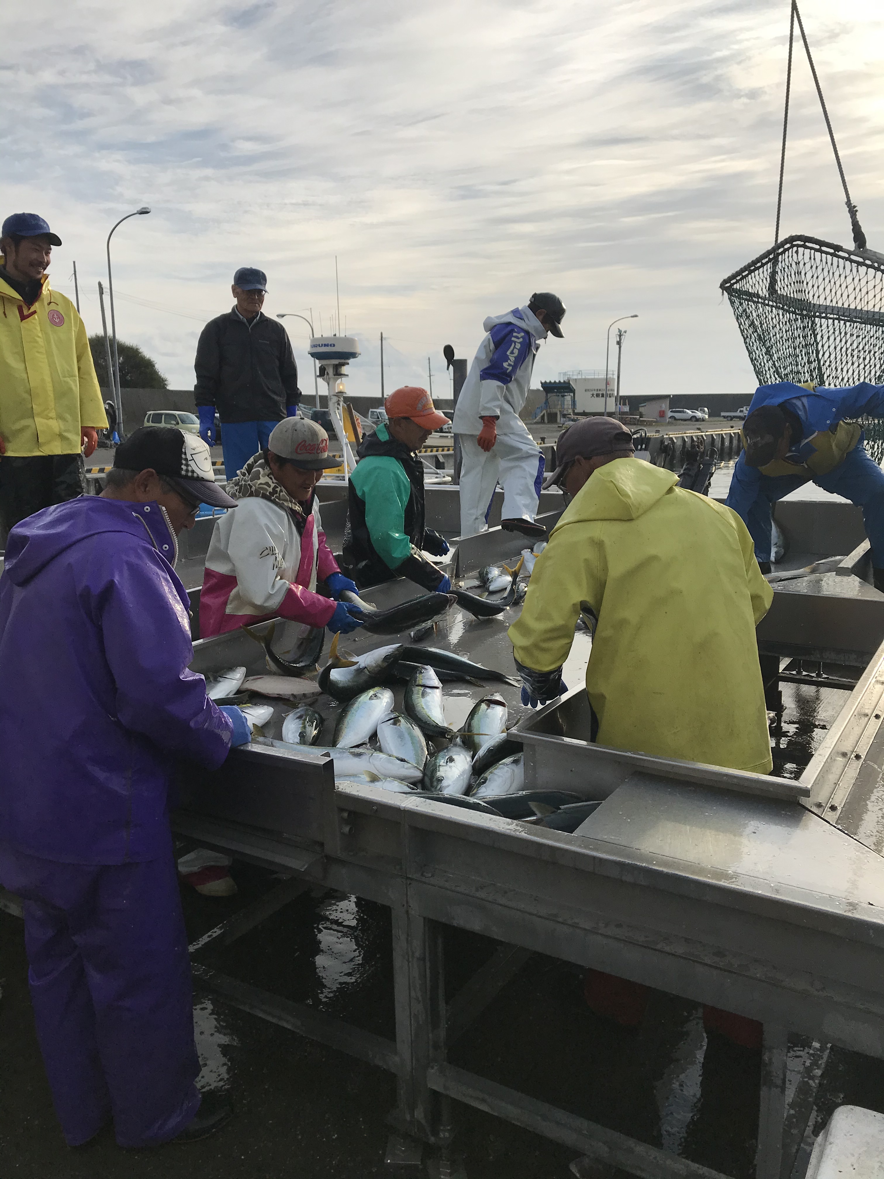 有限会社杉森水産