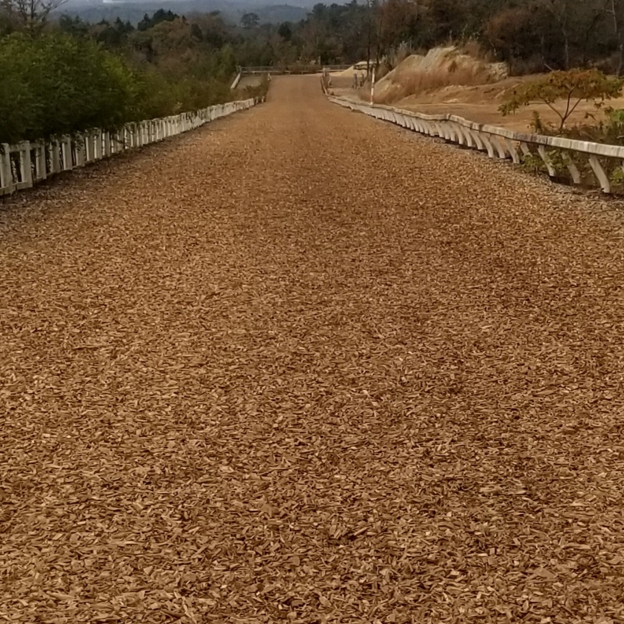 競走馬の育成 調教の求人詳細 三重県 株式会社きおりステーブル その他 その他 採用係長