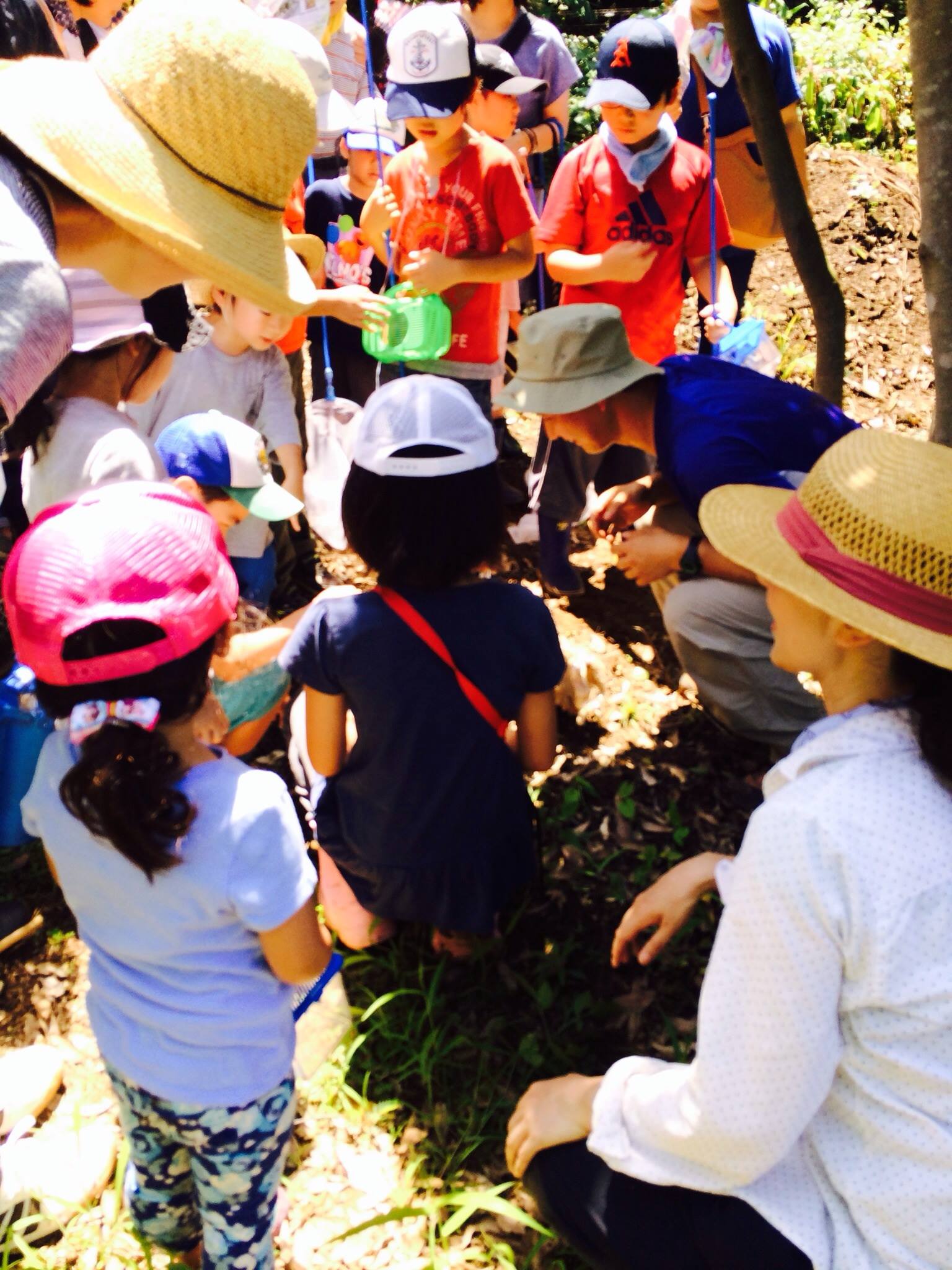 有限会社太田造園