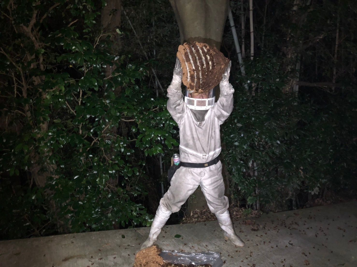 日本ビルケア有限会社