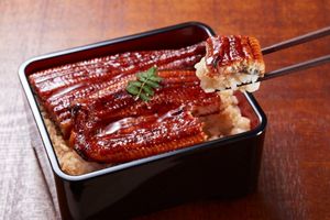 鰻づくし八策